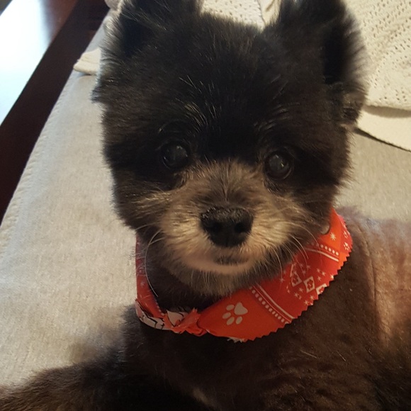 I am live, come hang out!!! - Picture 3 of 7